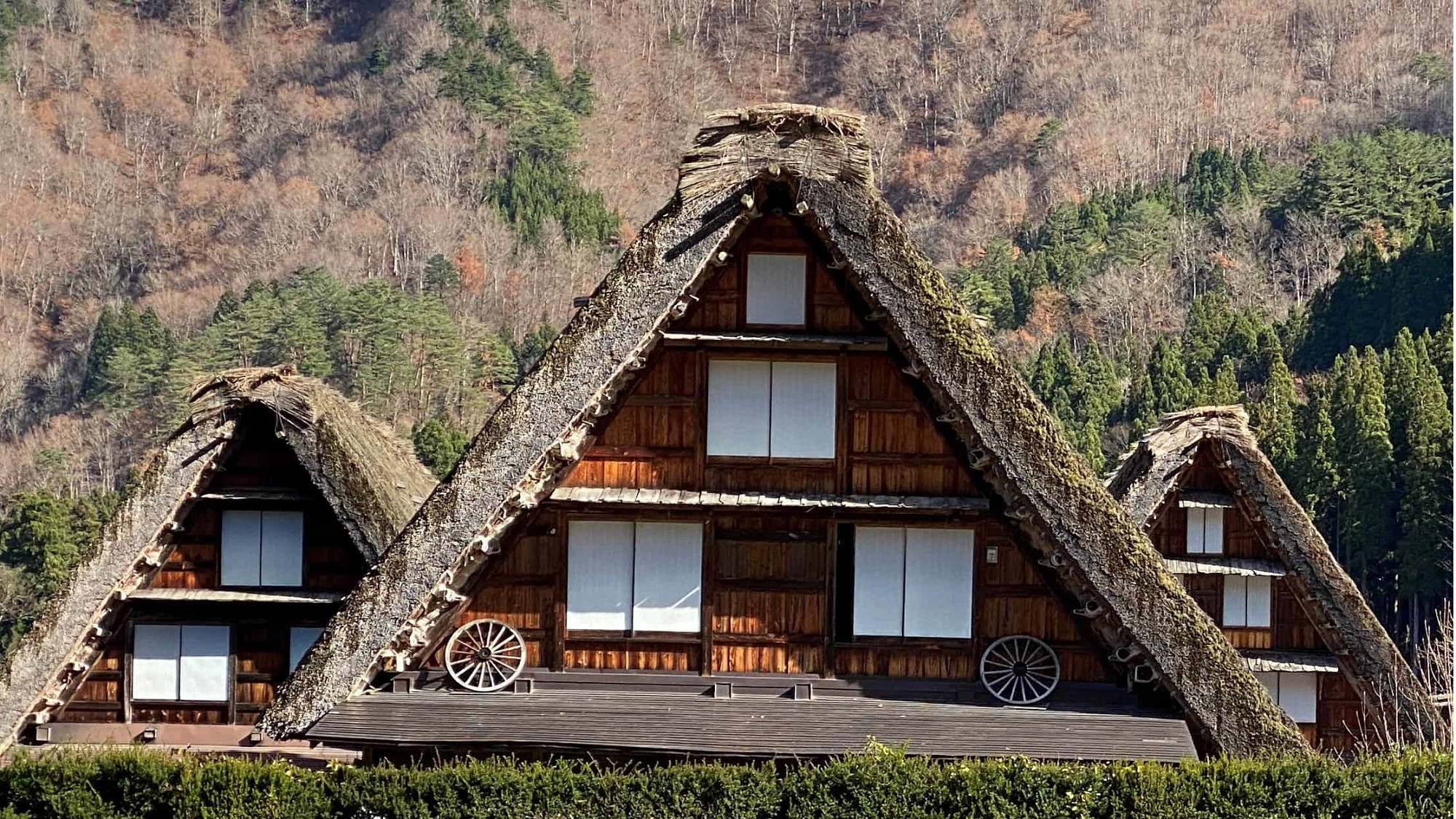 ラグジュアリーワゴンで行く「世界遺産白川郷ツアー」