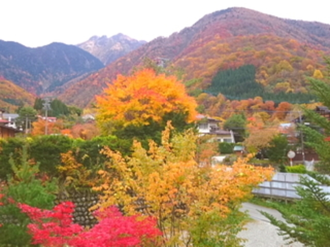 庭からの焼岳の紅葉