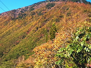 部屋からの近くの山々の紅葉