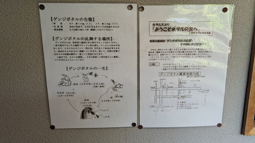 *5月～6月には施設近辺に蛍が出ることも。詳細については当館にお問い合わせください。