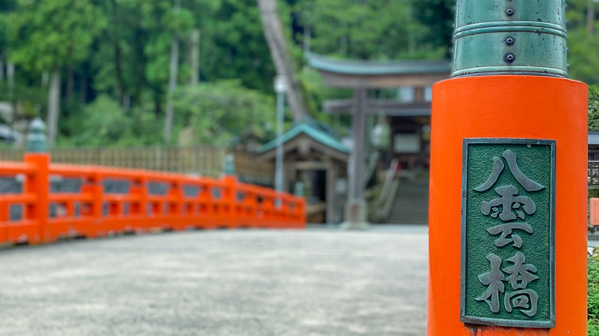【冬旅しまね】【ぼたん鍋プラン】地元名物「やくも猪舞い」肉を味わう！