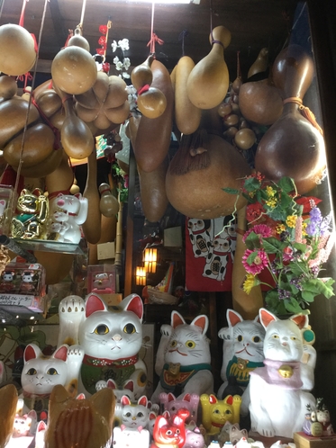 産寧坂のお店、猫ちゃんや瓢箪がいっぱい！！