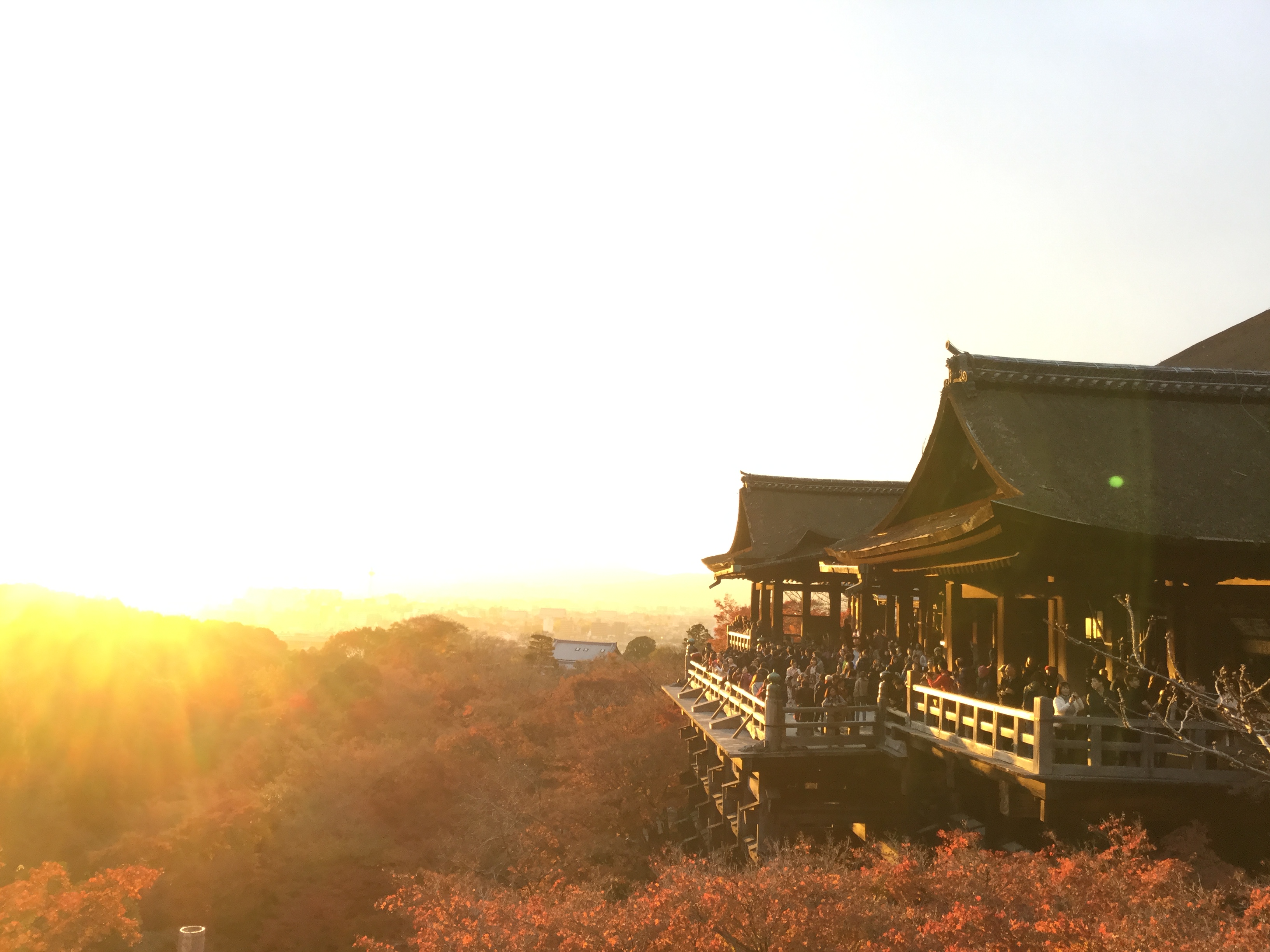 京都といえば清水寺！すぐ近くで夕景も美しいです！朝6時から拝観できます、徒歩15分 