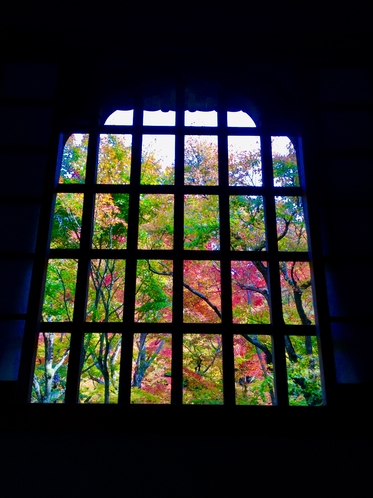 洛北「圓光寺」！ 窓越しの景に癒やされます。