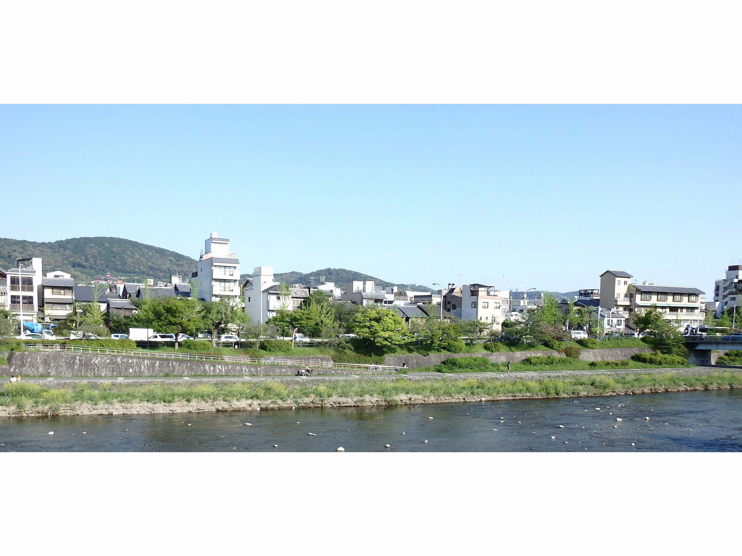 とみ家 京都 ホテル 宿泊予約 楽天トラベル