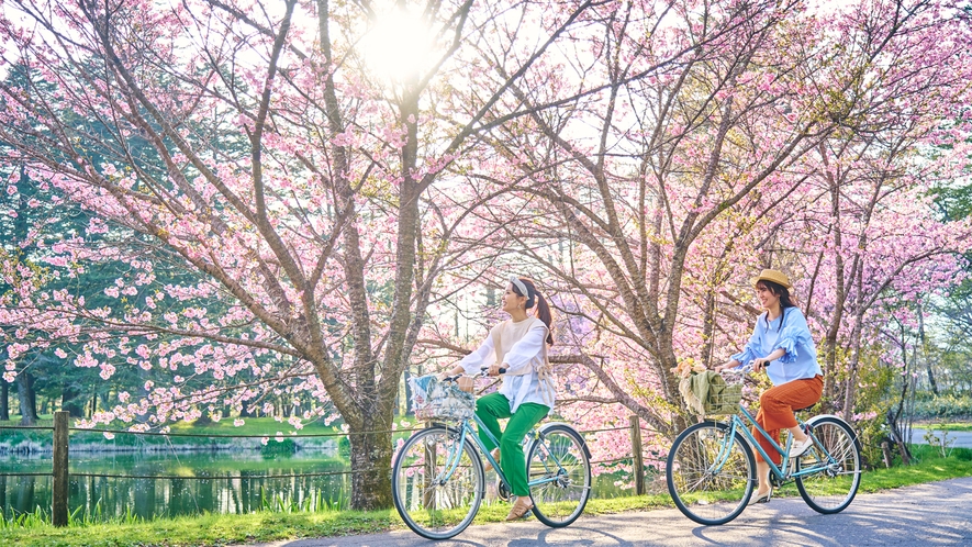 【宿泊者特典】レンタサイクルご利用無料　※他館レンタサイクルは対象外　≪4月～11月≫