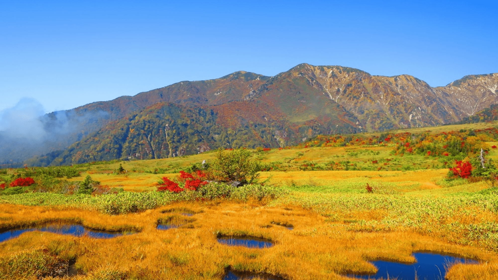 【立山黒部アルペンルート】紅葉を見に行こう！アクセス◎♪ご夕食は”季節の和食膳”