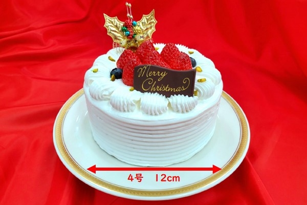 【WEB決済】2024クリスマスケーキ付き宿泊プラン≪朝食付≫