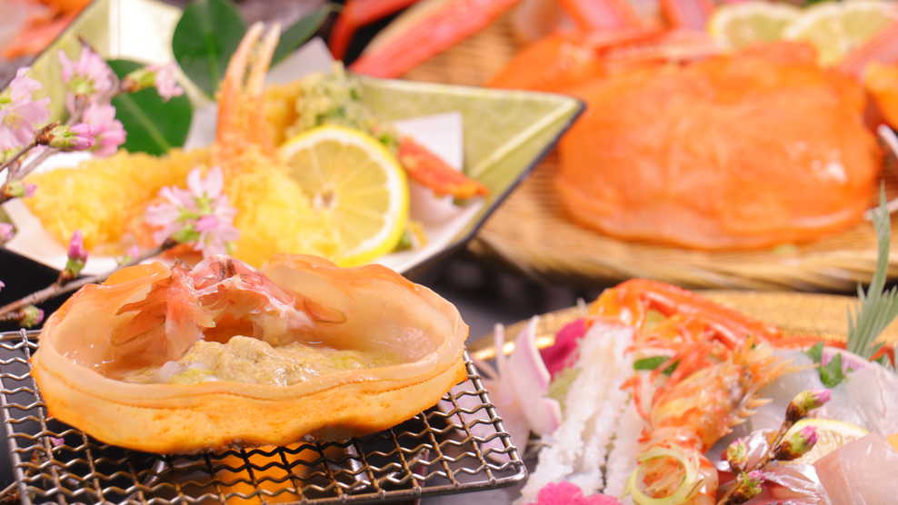桜もカニ刺しも満開！【春限定】タグ付き【活】香住ガニ贅沢2匹フルコース＋お得に選べる但馬牛１品コース