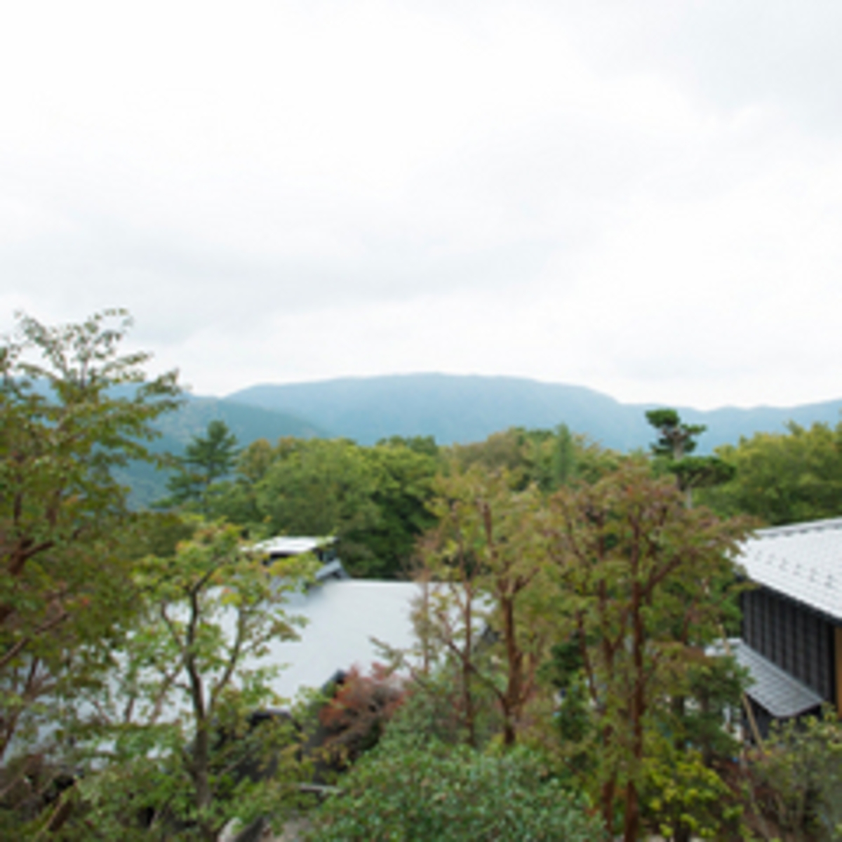 強羅花扇 円かの杜(眺望・庭園)