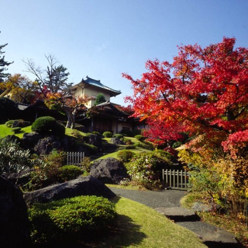 紅葉時期の箱根美術館