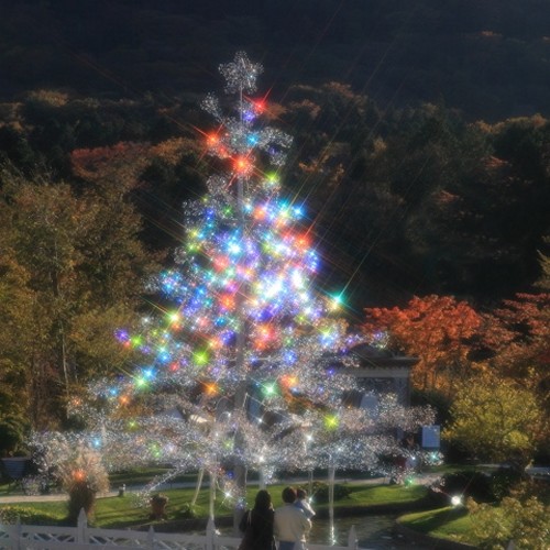 箱根ガラスの森美術館　クリスタルツリー（お車で２０分）