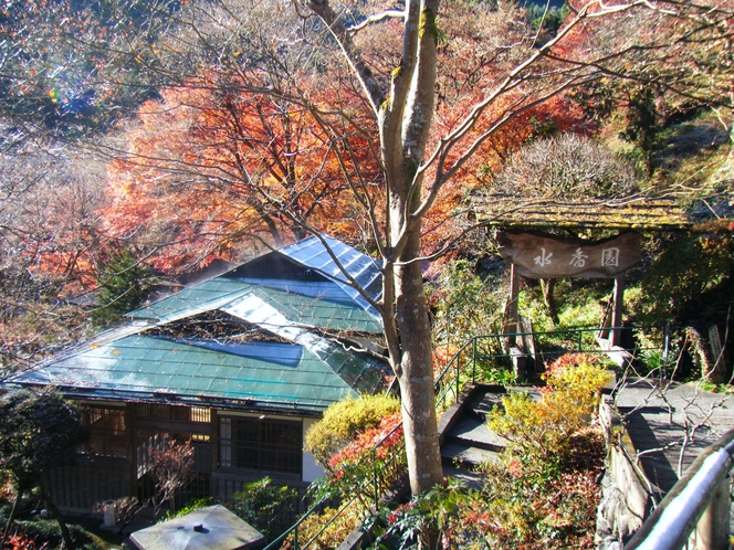 施設内紅葉一例