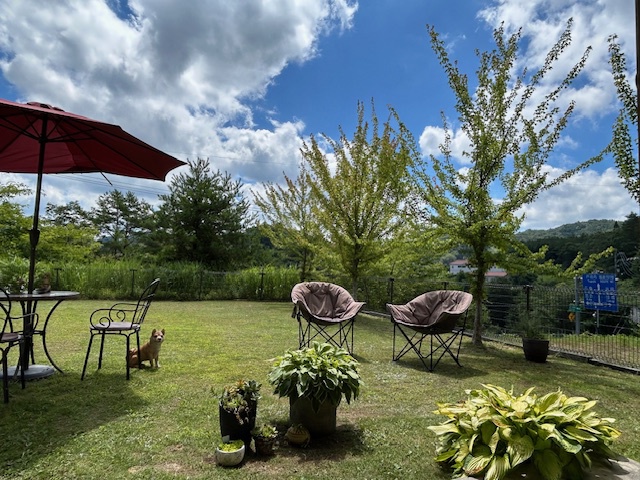 2025　ログ風コテージの庭02