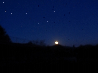 コテージからの夜空