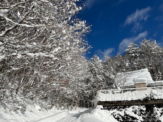 2025　大雪の日の坂道