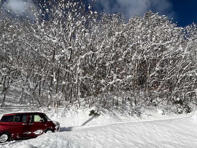 2025　大雪の日の坂道