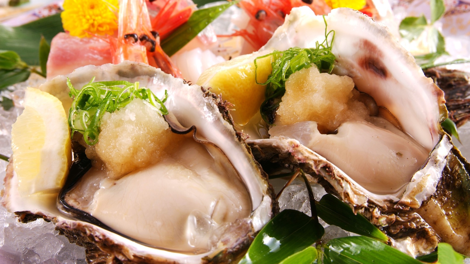 【楽天トラベルサマーSALE】クチコミ投稿でお得◆天然岩牡蠣「牡蠣割り職人」が作る７種の岩牡蠣料理
