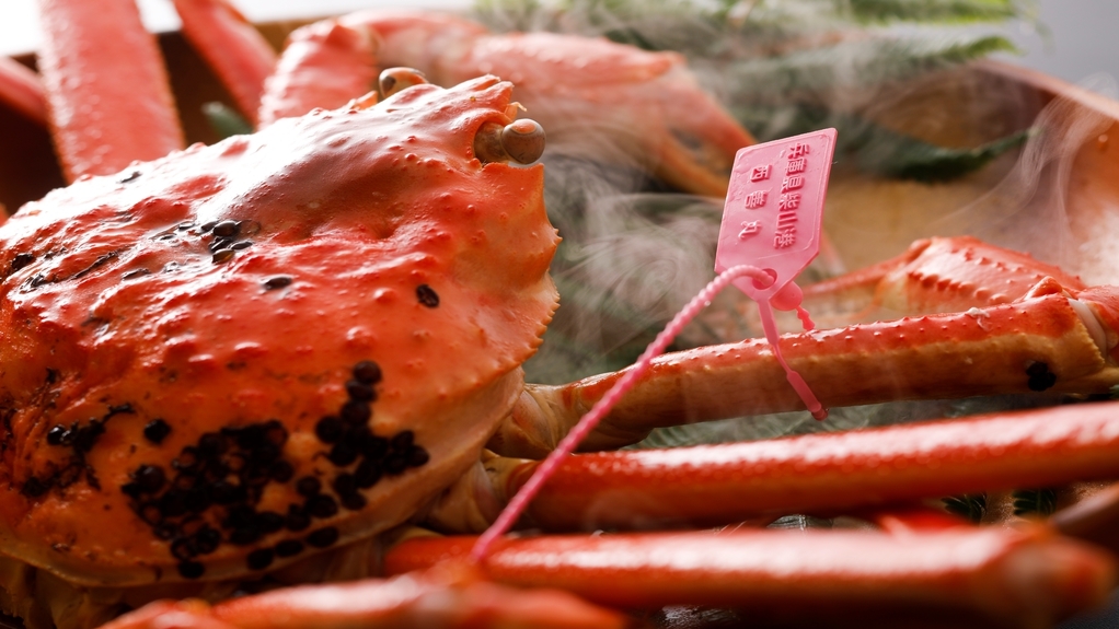 【冬・丸茹でブランド地ガニ付】≪満腹カニフルコース＋茹でガニ付≫豪華カニフルコース！