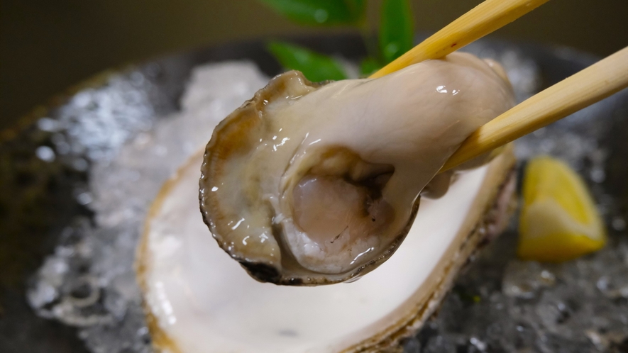 【夏のお料理】夏の味覚・ぷりぷり「岩牡蠣」は濃厚でクリーミー！