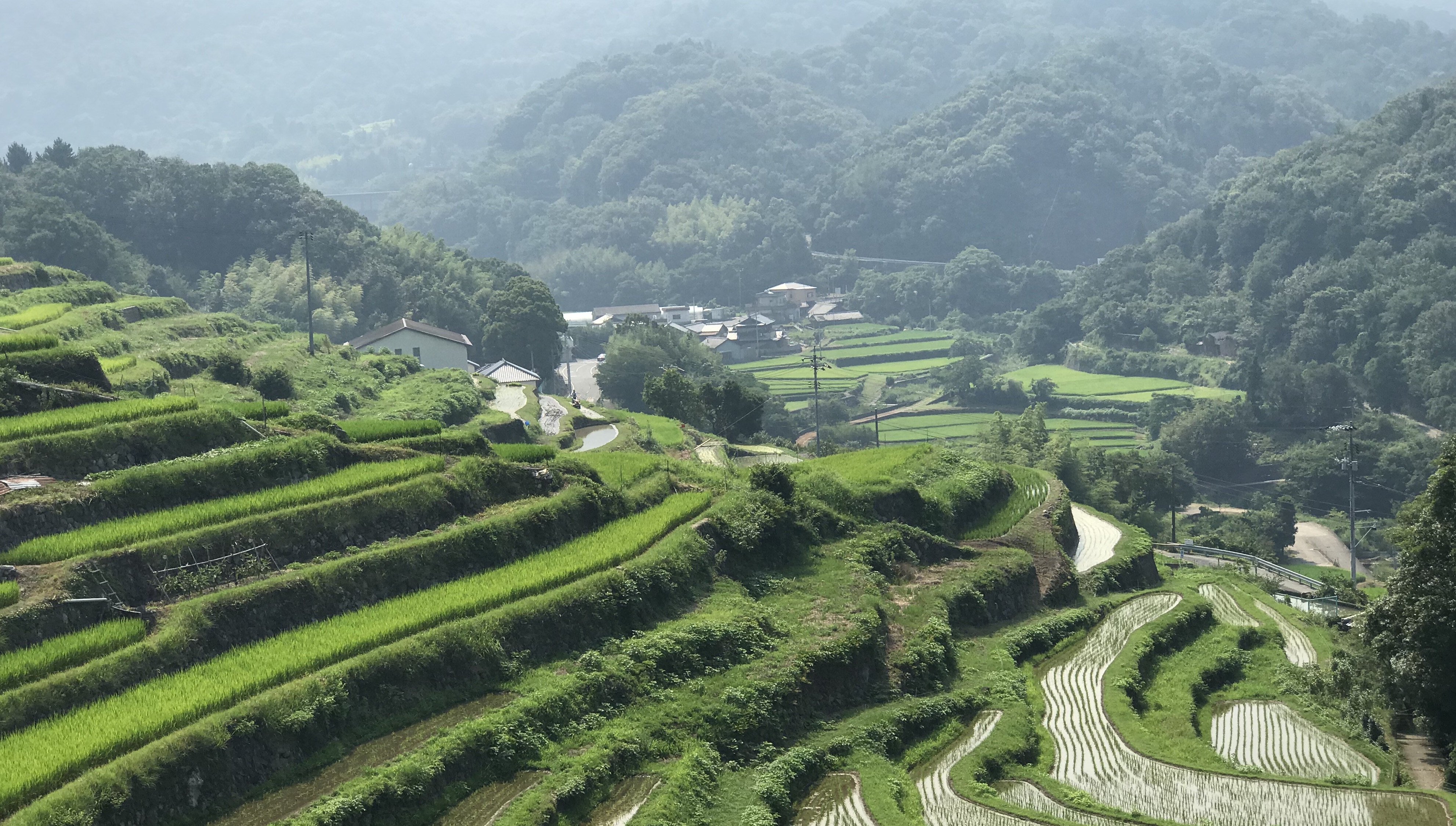 中山千枚田