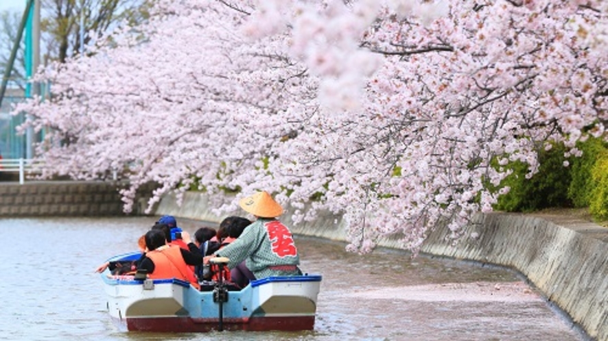 九華公園（桑名市）桜の季節が美しいです
