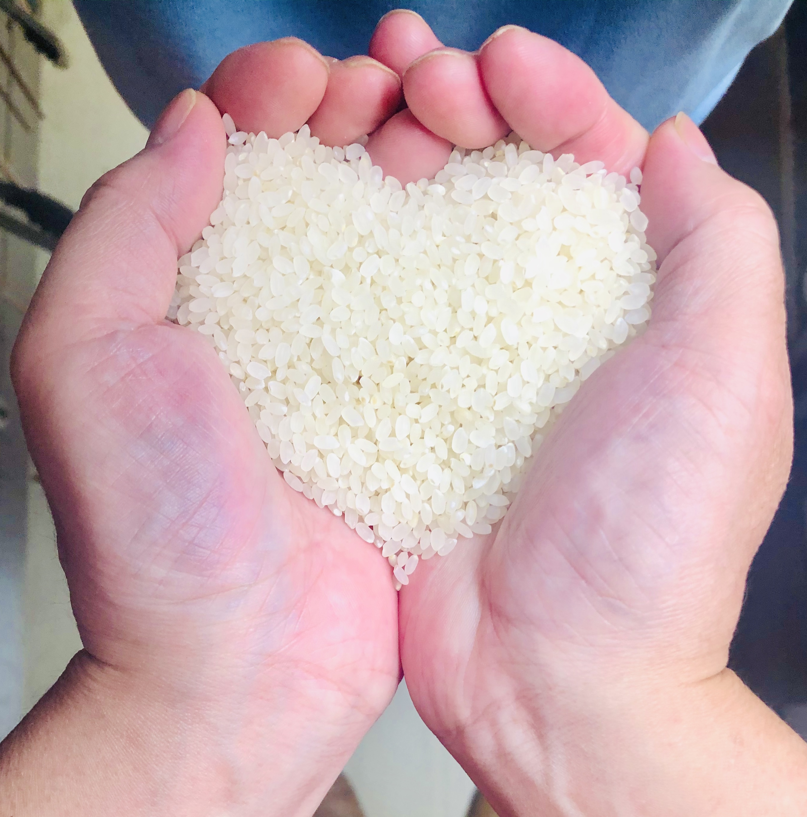 種まきからの手作り！自家栽培している我が家のお米を食べる時に精米し、直火炊きしておひつで出してます♪