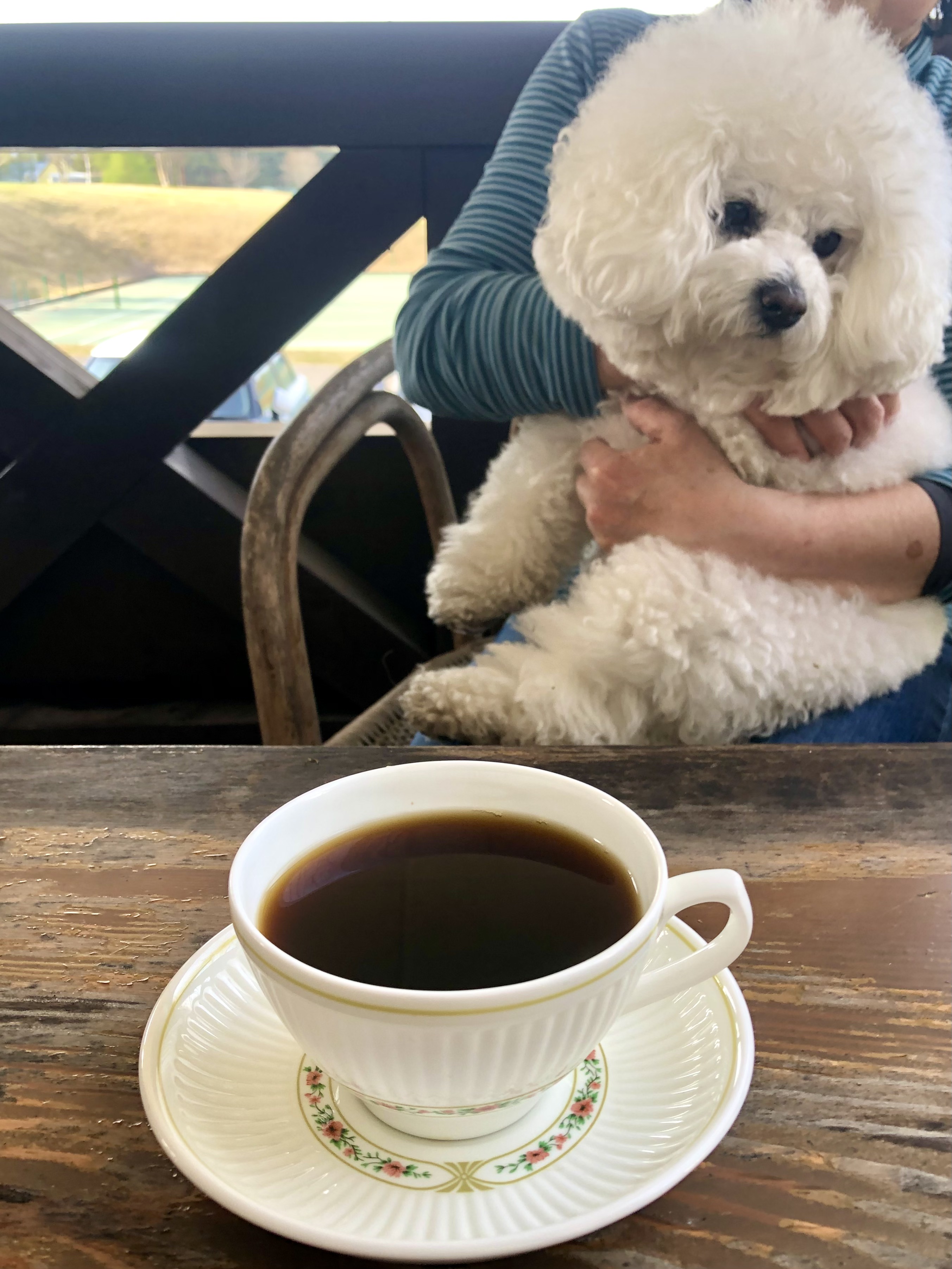 自家焙煎したコーヒーを高原の爽やかなテラス席で看板犬のボンボンと一緒に一枚撮った写真♪