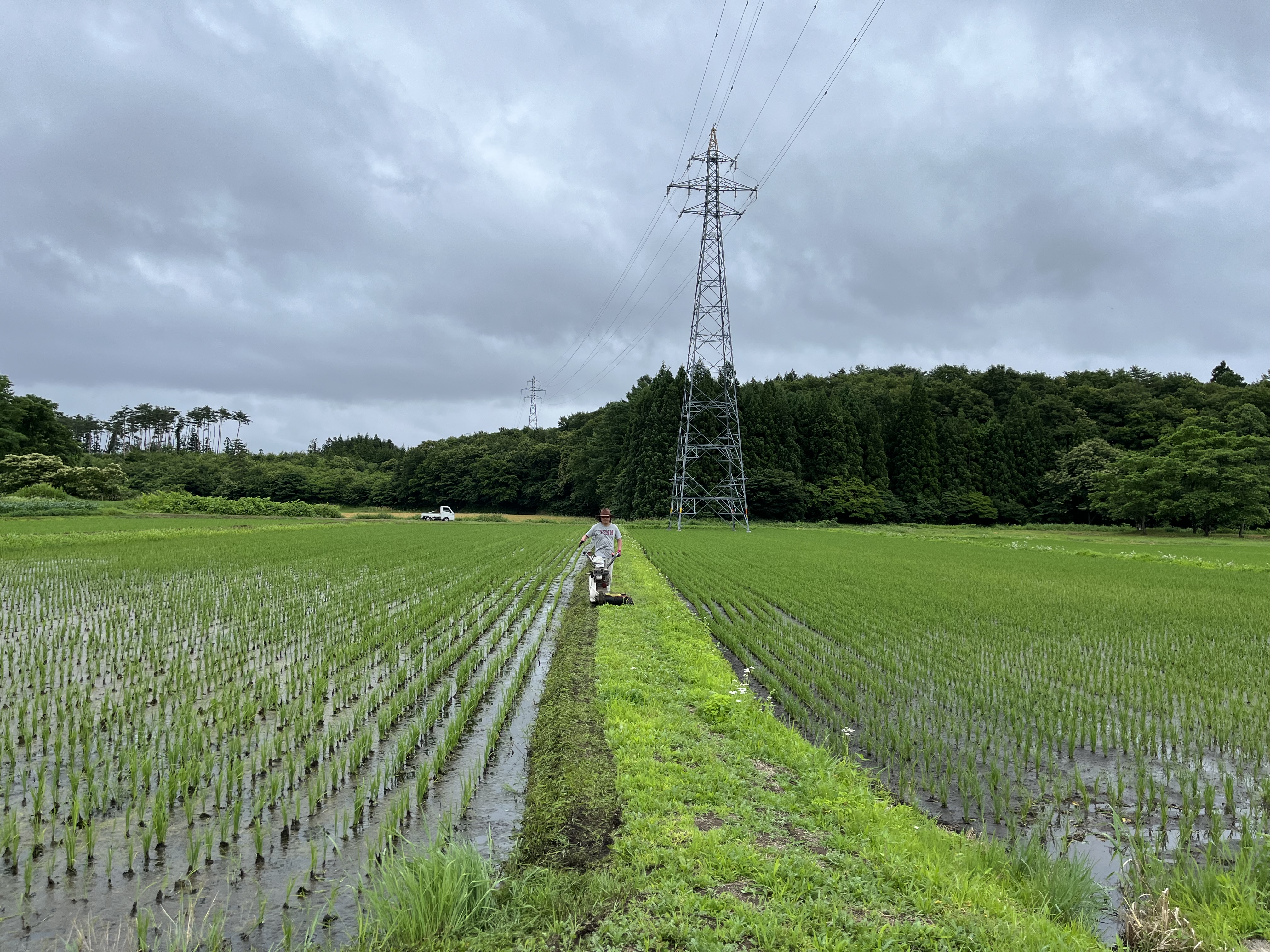 田んぼの草刈り！