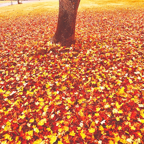 ・～秋～