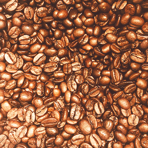 ・自家焙煎珈琲