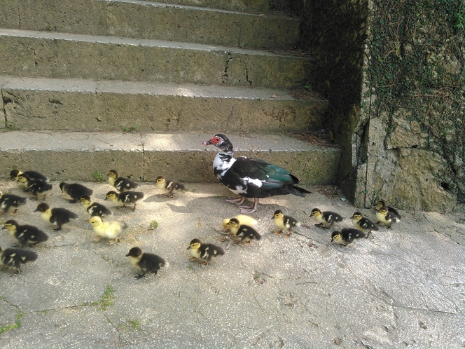 首里城公園