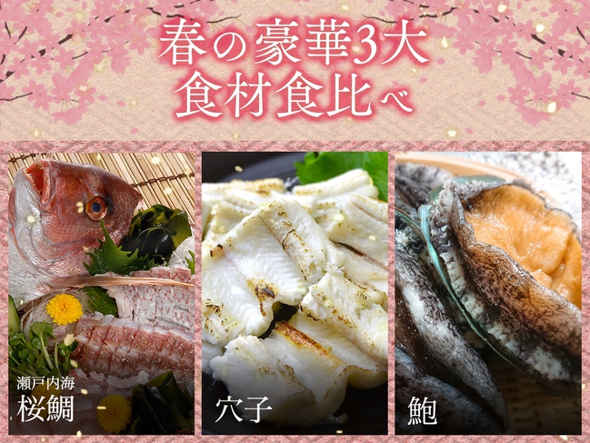 【春の３大食材食べ比べ】旬の鯛+鮑+和牛会席プラン〜新鮮な海の幸と和牛を堪能〜