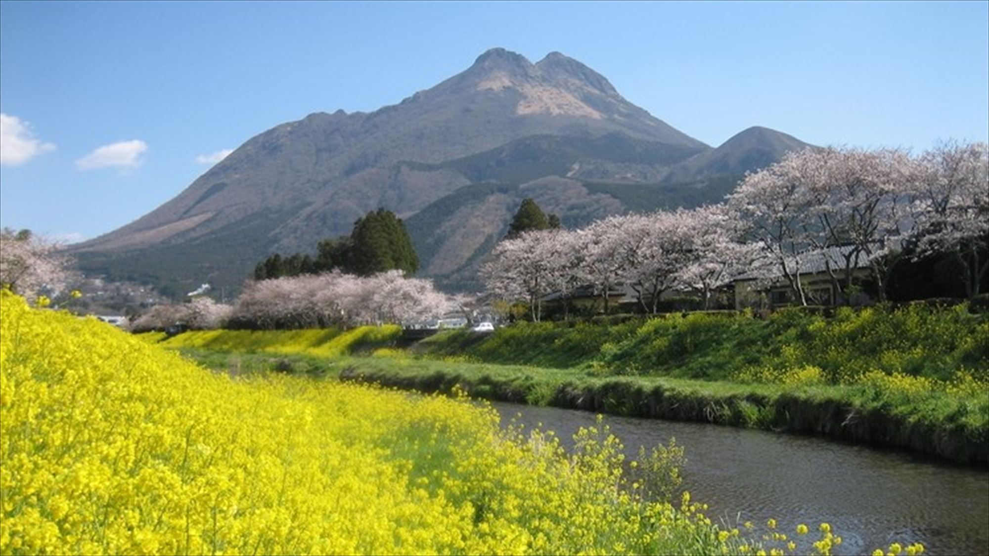 四季折々の由布岳