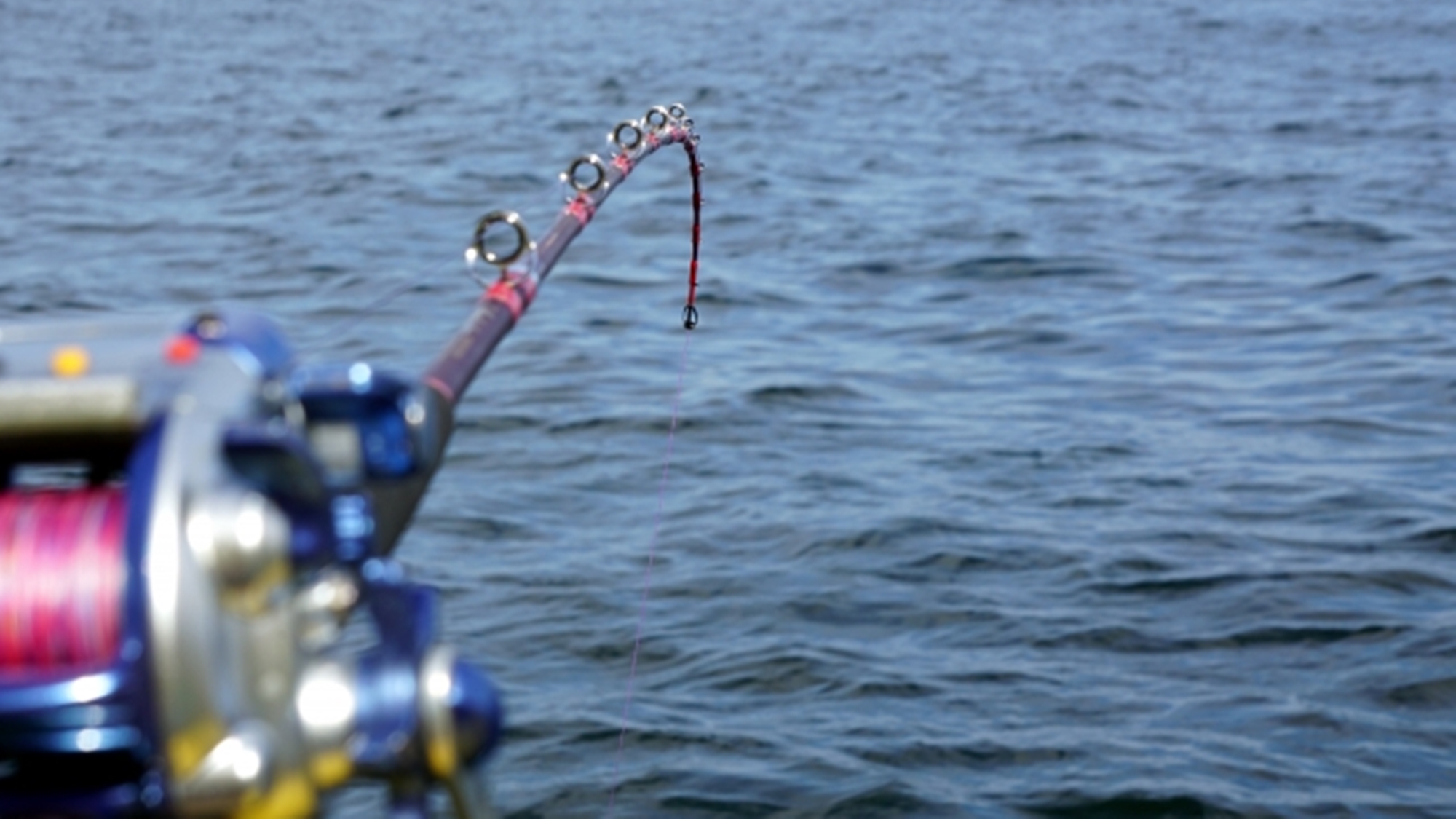 *【周辺体験：海釣り体験】観光船で有明海クルージングで海釣り＜韋駄天観光：車35分＞　※イメージ写真