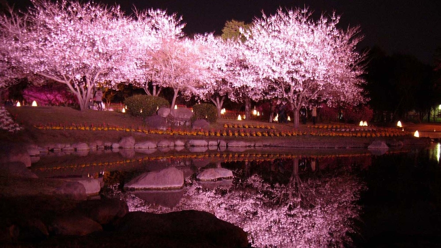 【周辺観光】別府光園の夜桜