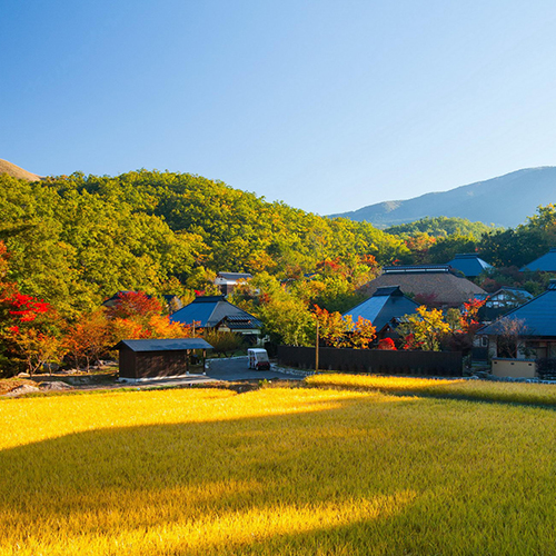 秋の風景