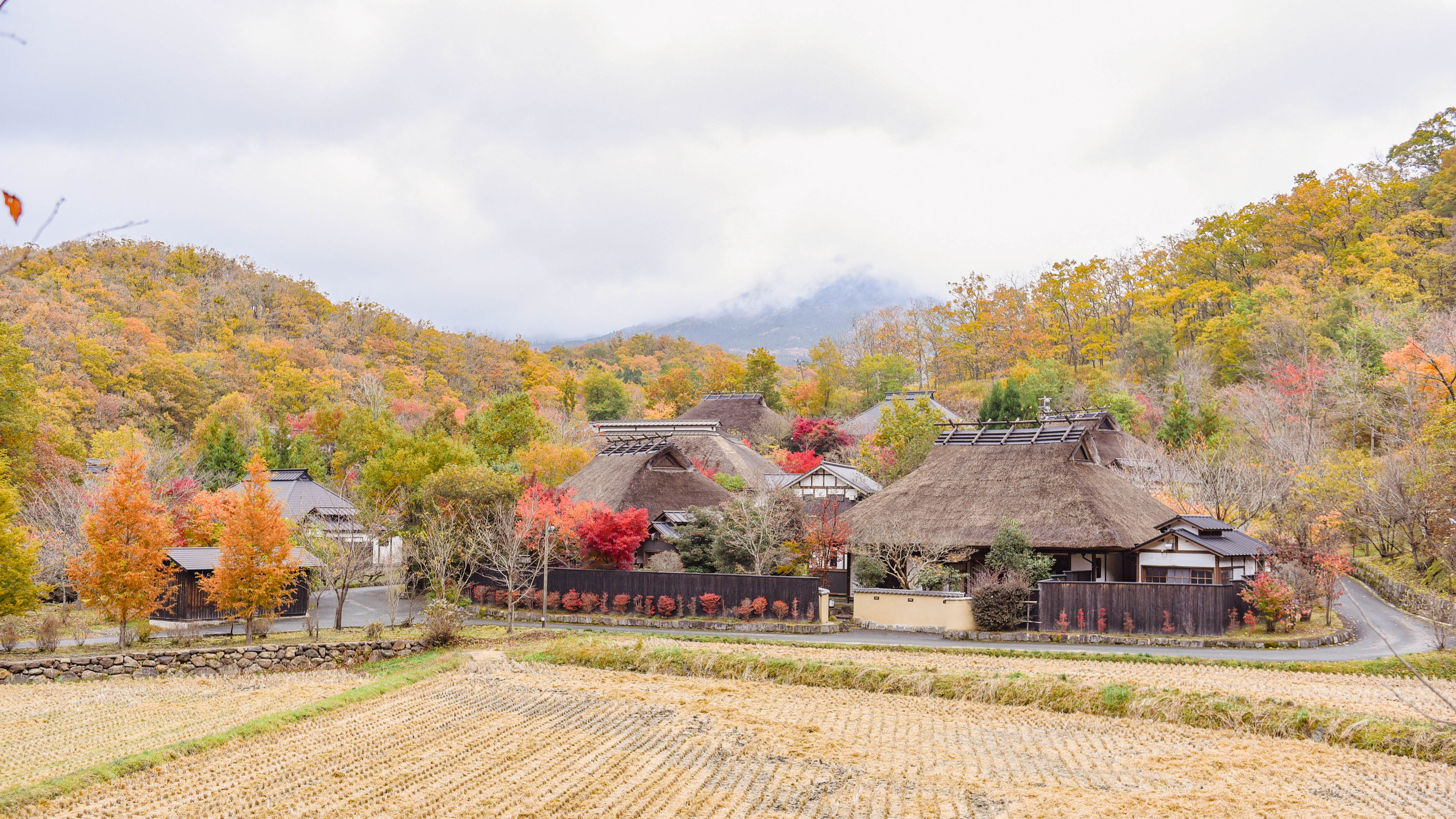 晩秋の庭に、紅が灯る頃（11月頃）
