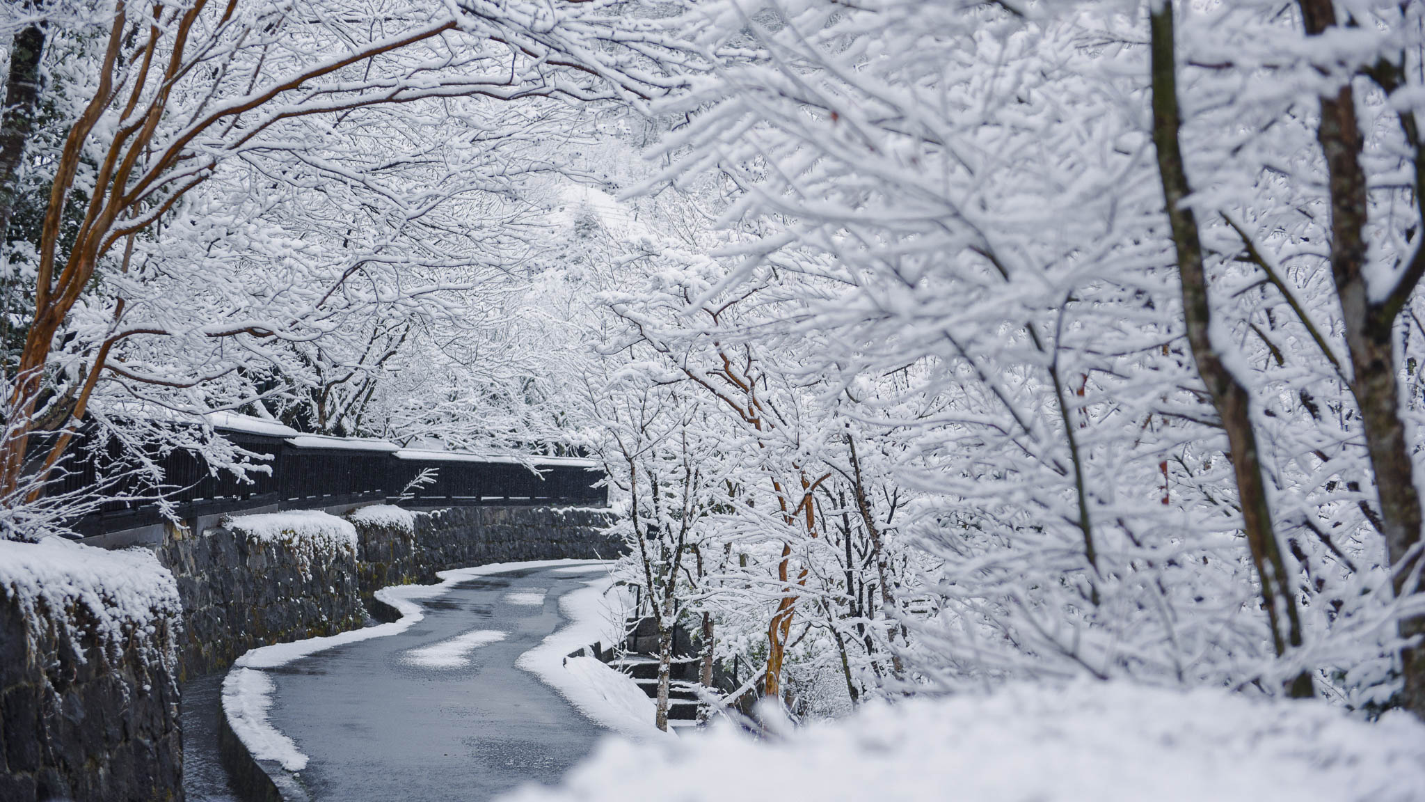 敷地一面が雪に包まれ、静けさに満ちた白銀の世界が広がります。