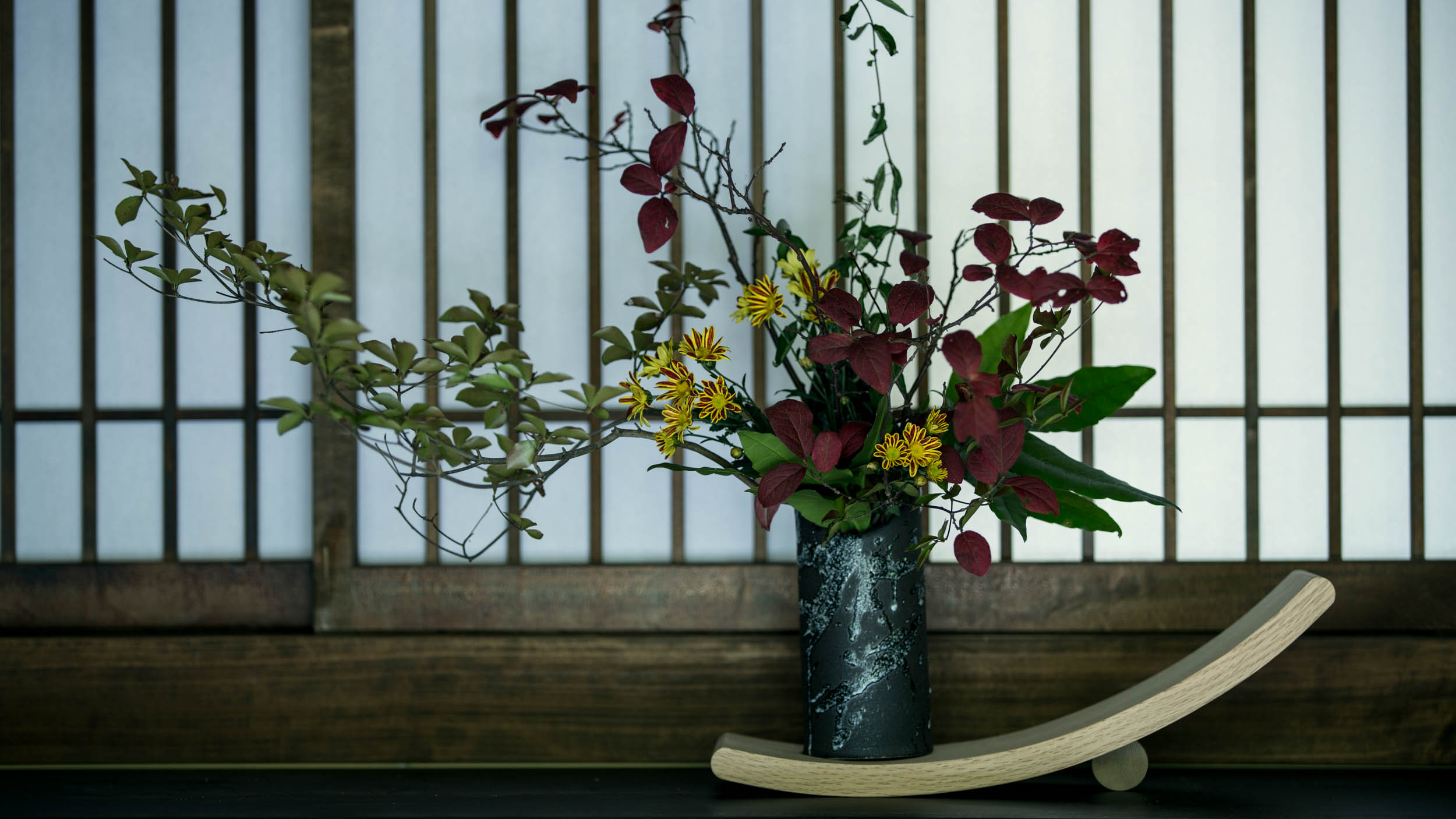 阿蘇の草花が彩る、ささやかな一輪