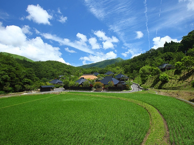 夏全景