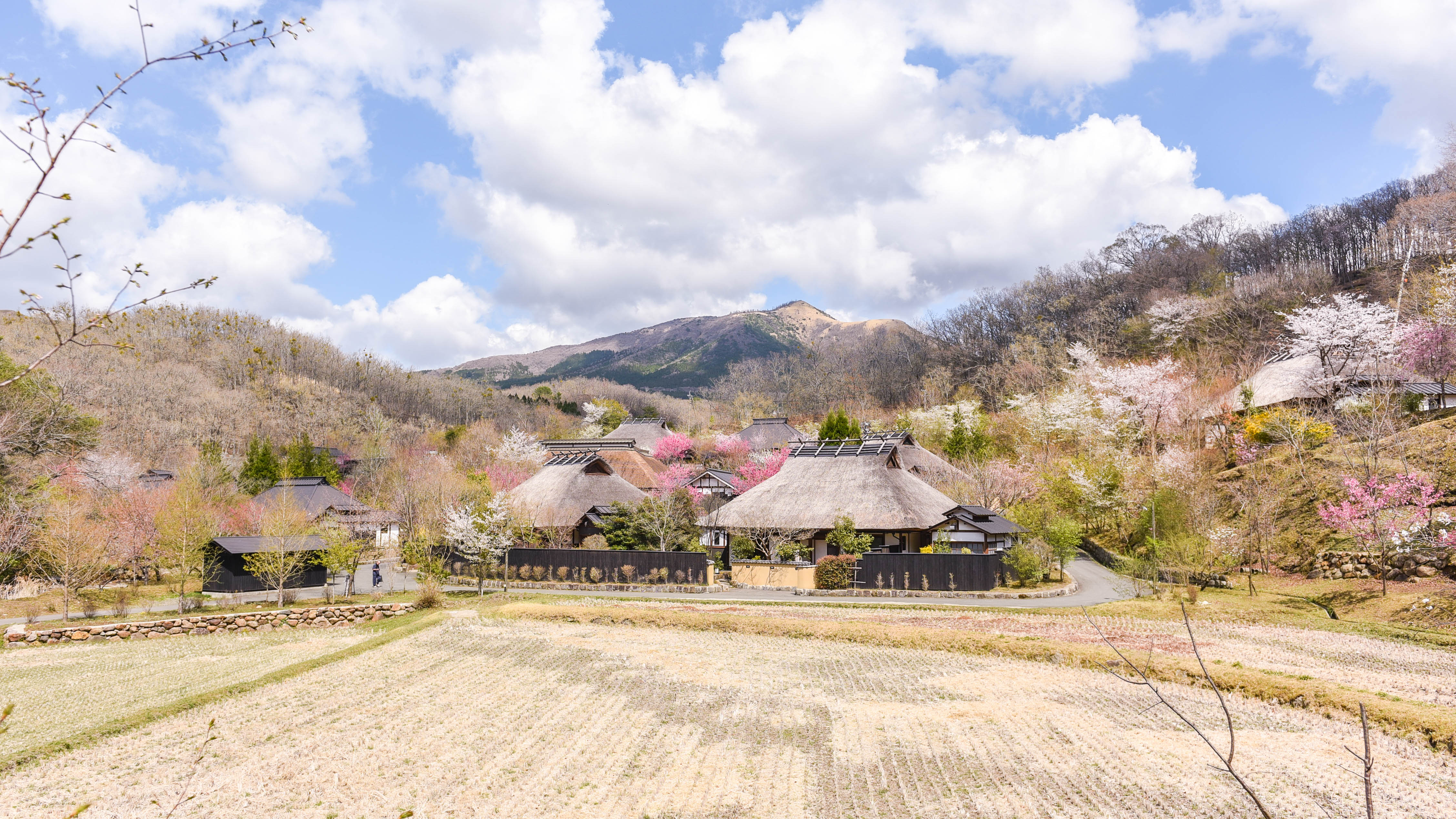 春色に染まる、茅葺の宿（3月頃）