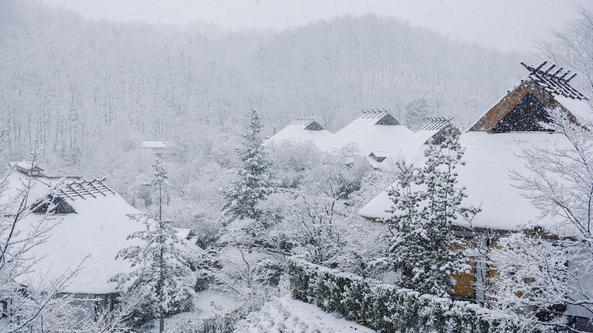 茅葺き屋根にしんしんと降り積もる雪が、まるで昔話のような風景を描き出します。
