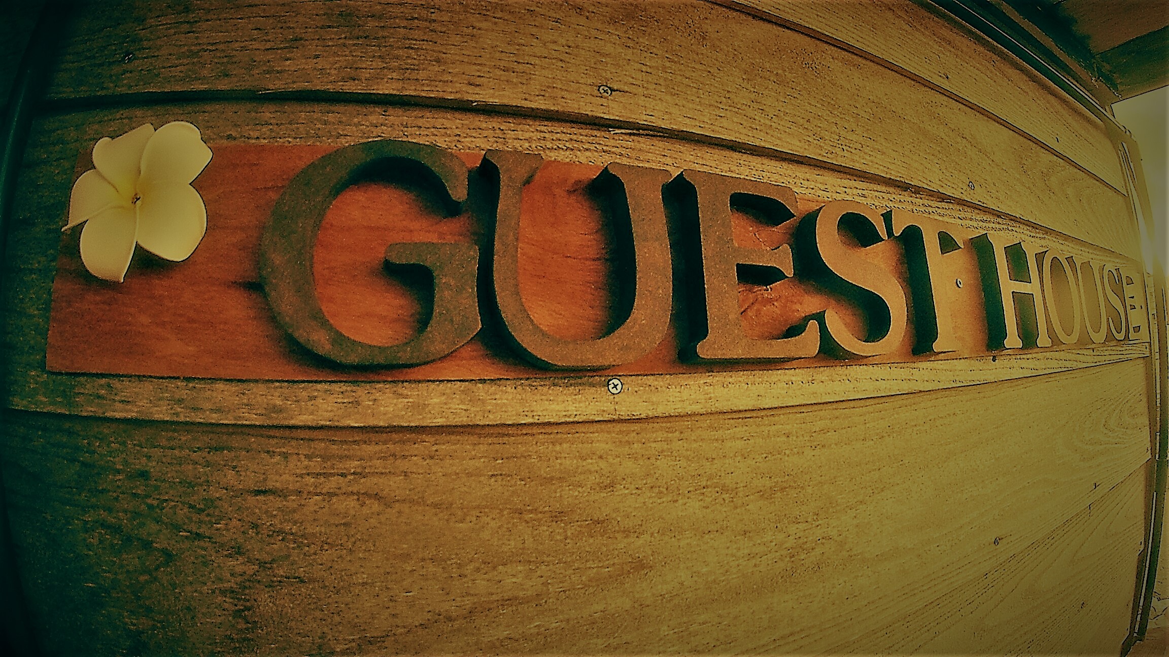 ゲストハウス なんで家ねん 宿泊予約 楽天トラベル ゲストハウス なんで家ねん 宿泊予約 楽天トラベル