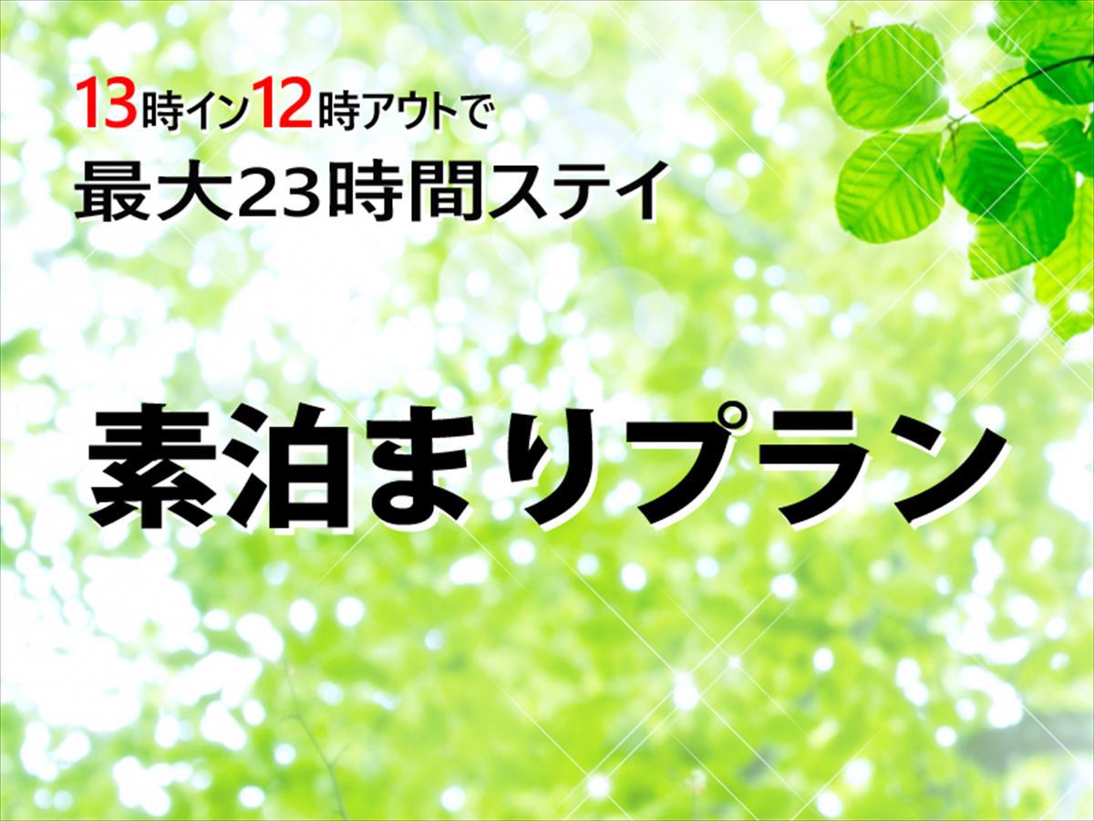 【素泊まり】13時イン12時アウトペア＆ファミリープラン