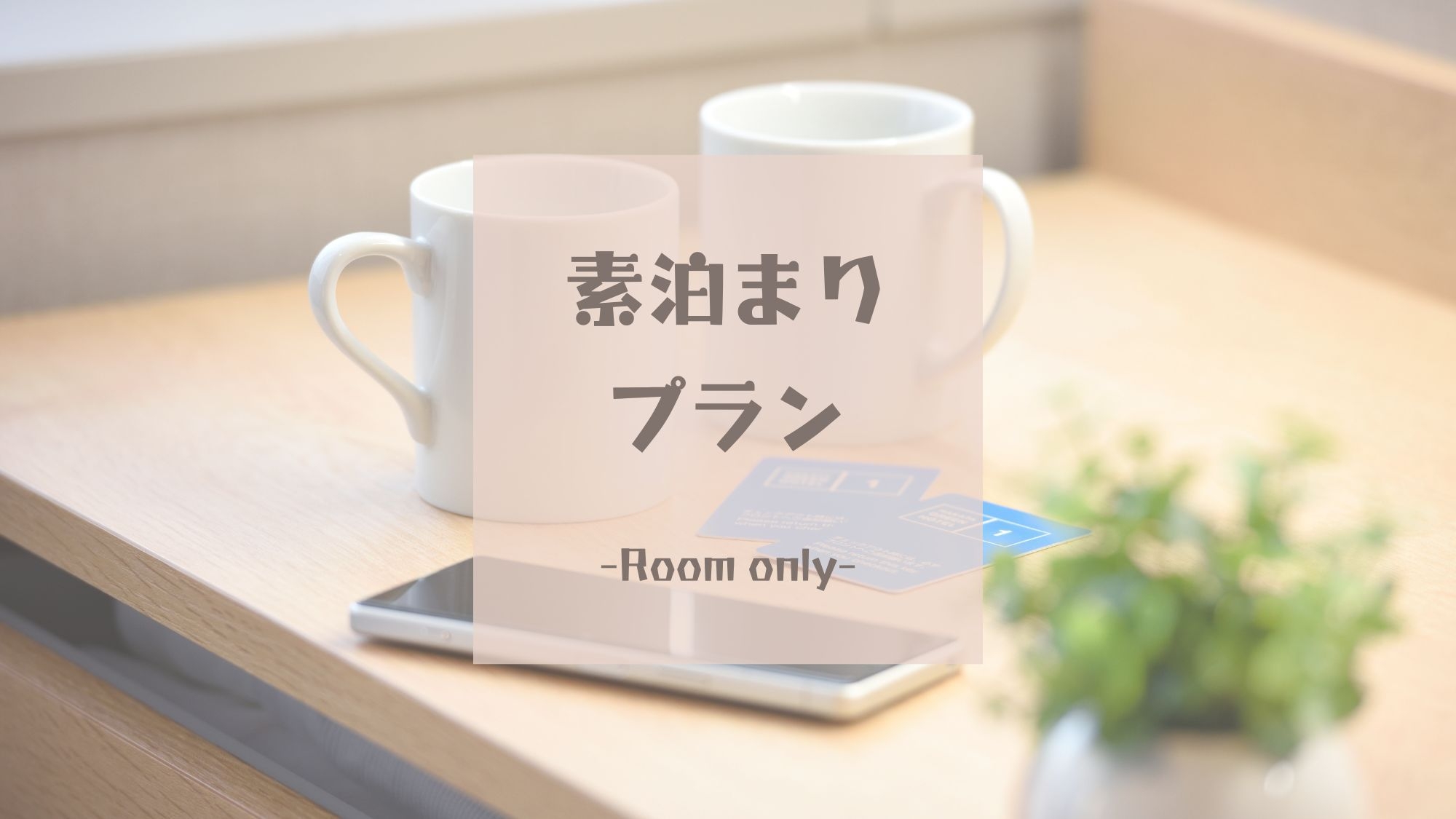 【素泊まり】13時イン12時アウトシングルプラン