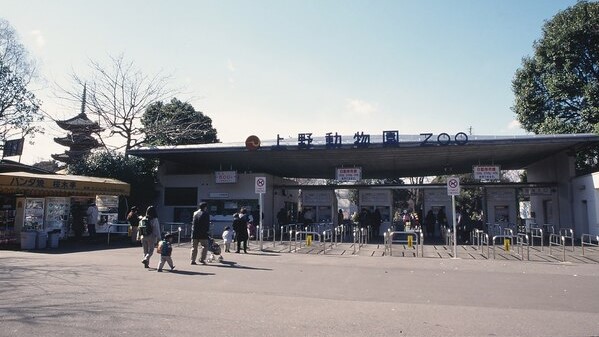 上野動物園