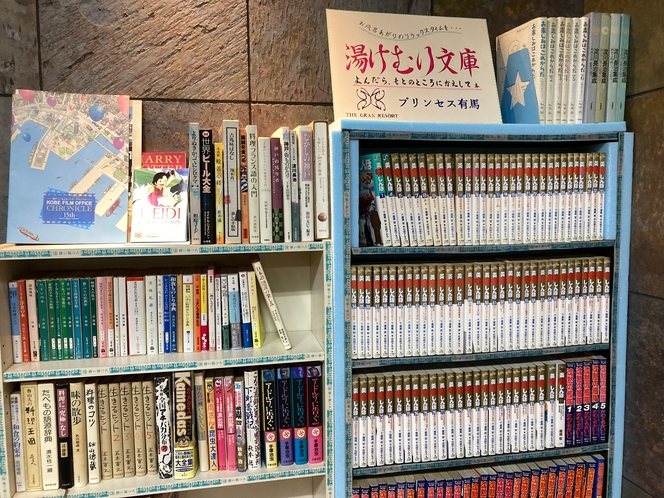 プリンセス　ミニ図書館③