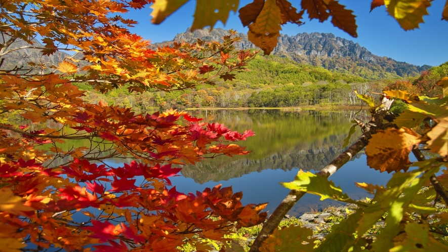 戸隠高原の紅葉