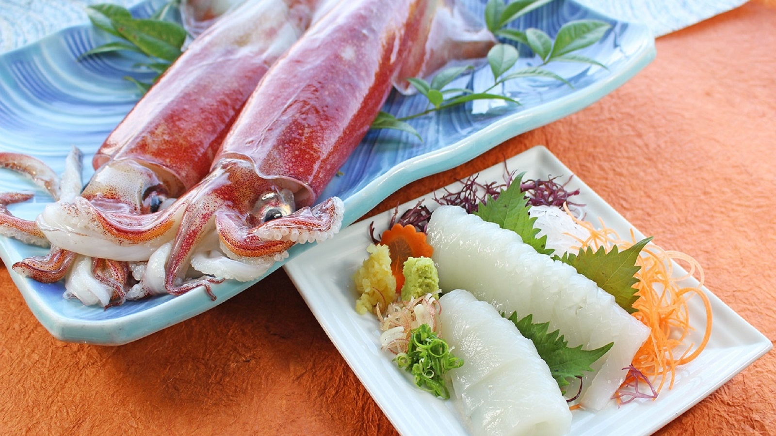 下田の初夏の風物詩！【赤いか】キャンペーンプラン